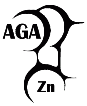American Galvanizers Association