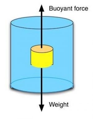 Figure Buoyant Force