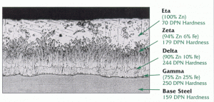 Photomicrograph of the galvanized coating