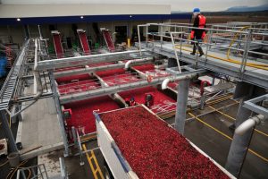 Ocean Spray Receiving Station 01