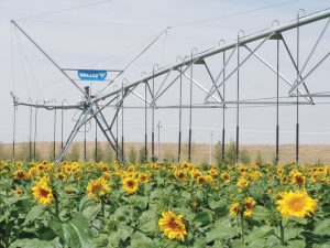 Valmont Irrigation