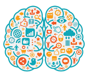 Brain