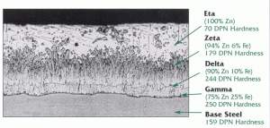 Photomicrograph of the galvanized coating