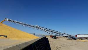30K Transport Conveyor 1