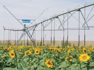 Valmont Irrigation