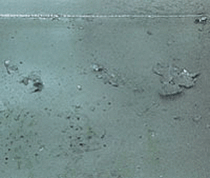 Zinc Splatter(acceptable) galvanized steel