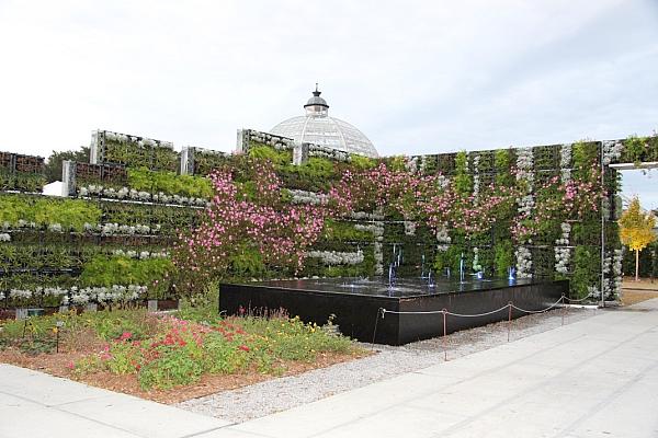 The Living Green Wall 01