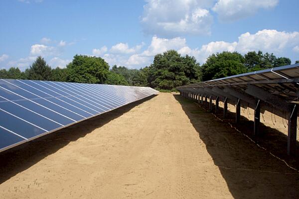 Canadian Solar Farm