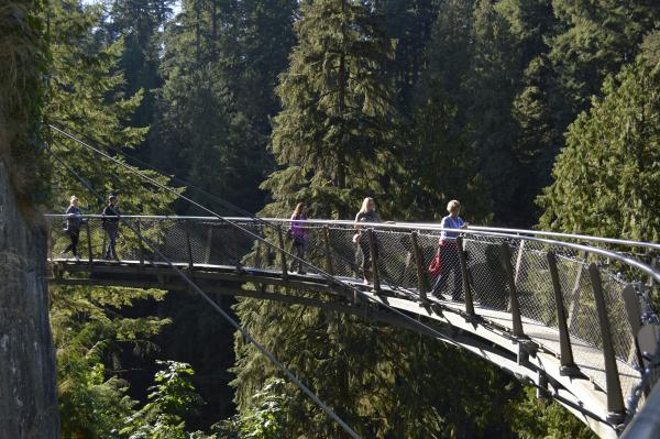 Cliffwalk Capilano Suspension Bridge 174