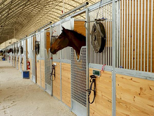 Gulfstream Park Horse Stalls 14