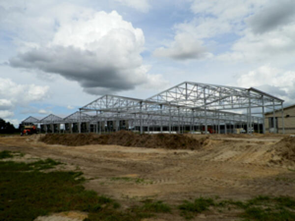 Agromillora Greenhouse6