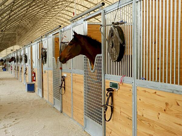 Gulfstream Park Horse Stalls 14