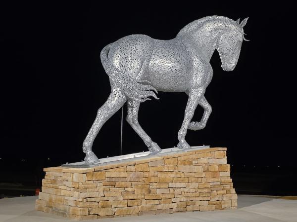 Percheron Horse 3