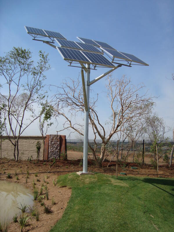 Solar Tree 1