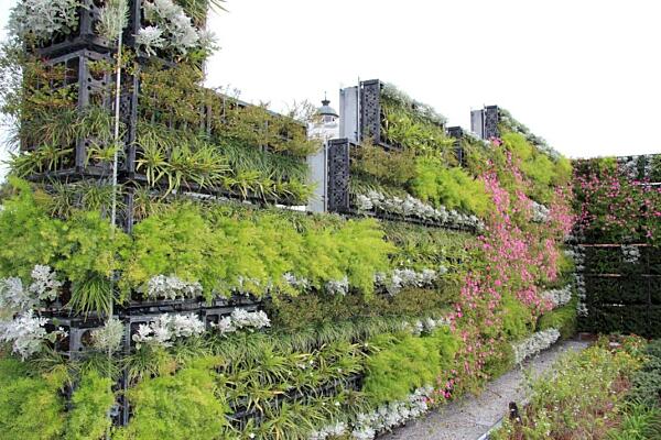 The Living Green Wall