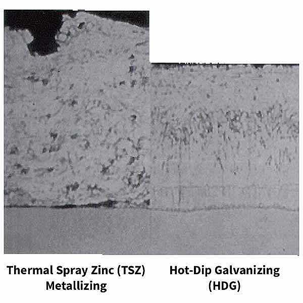 Tsz vs hdg coating thickness density