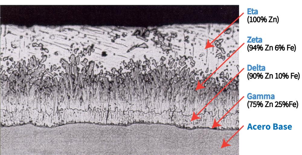 HDG micrograph spanish jpg