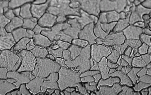 Micro2