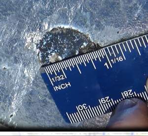1Inch Bare Spot