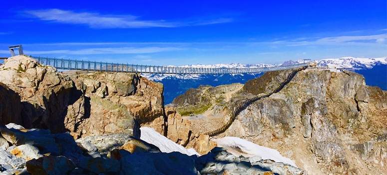 Whistler Blackcomb Suspension Bridge