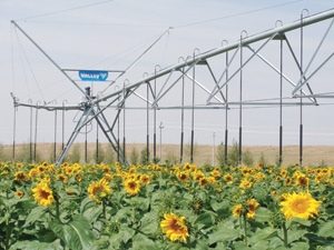Valmont Irrigation 101