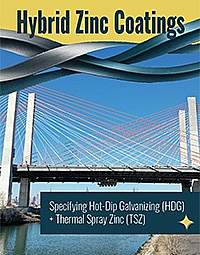 Thumb hybrid zinc coatings
