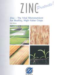 Zinc Vital Micronutrient For Crops